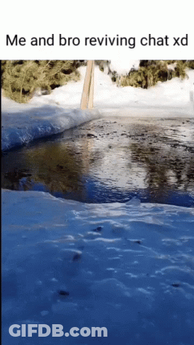 Snowy River With Me And Bro Reviving Chat XD GIF