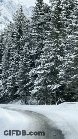 Snowy Road Through Forest And Mountains GIF