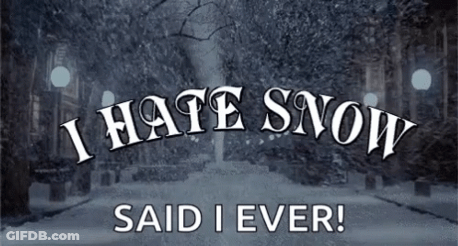 Snowy Saturday I Hate Snow No Snow GIF
