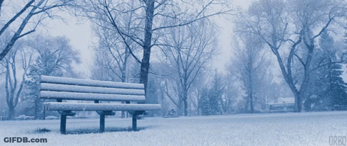 Snowy Saturday Snow Covered Chair GIF
