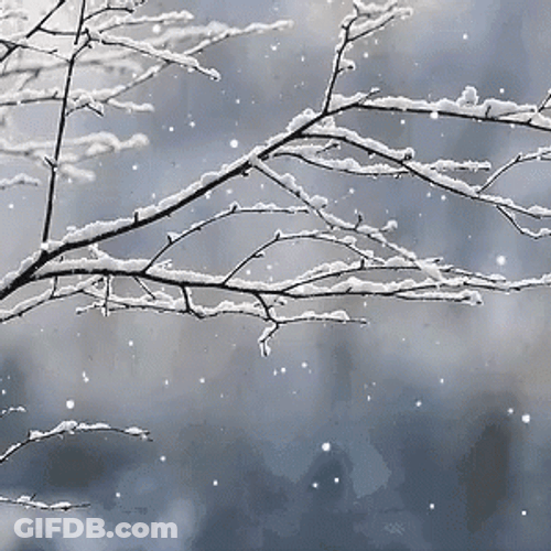 Snowy Saturday Snow Snowing GIF