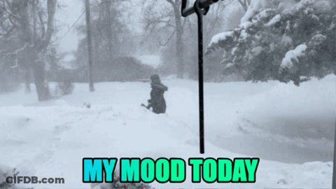 Snowy Scene My Mood Today GIF