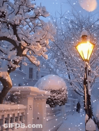 Snowy Street Lamp Post 75 Sign GIF
