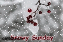 Snowy Sunday Greeting Card With Berries GIF