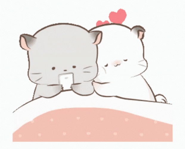 Snuggle Kiss Cat GIF