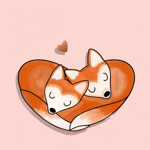 Snuggling Fox Couple GIF