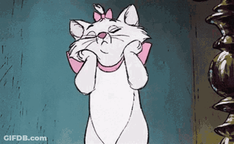 So Adorable Cat GIF