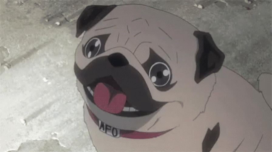 So Anyways I Started Blasting Excited Pug GIF