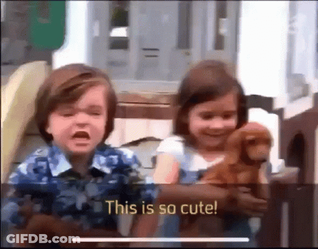 So Cute The Secret Life Of Kids GIF