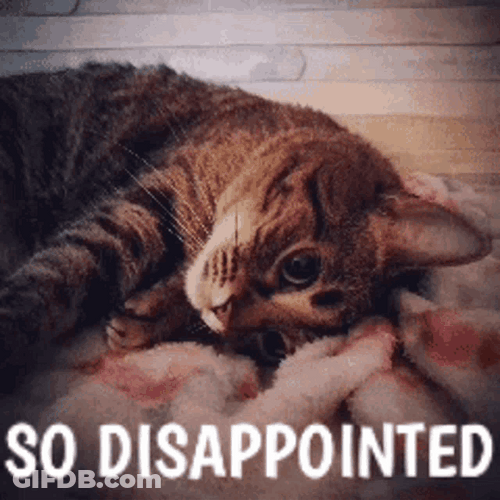 So Disappointed Cute Cat GIF
