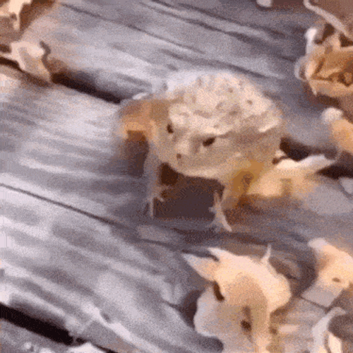 So Funny GIF