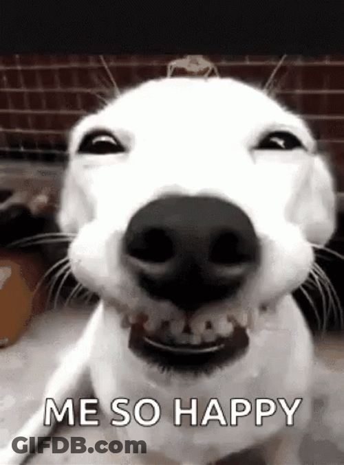 So Happy Dog Big Smile GIF