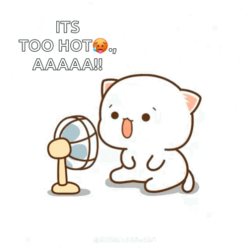 So Hot Right Now Peach Cat With Fan GIF