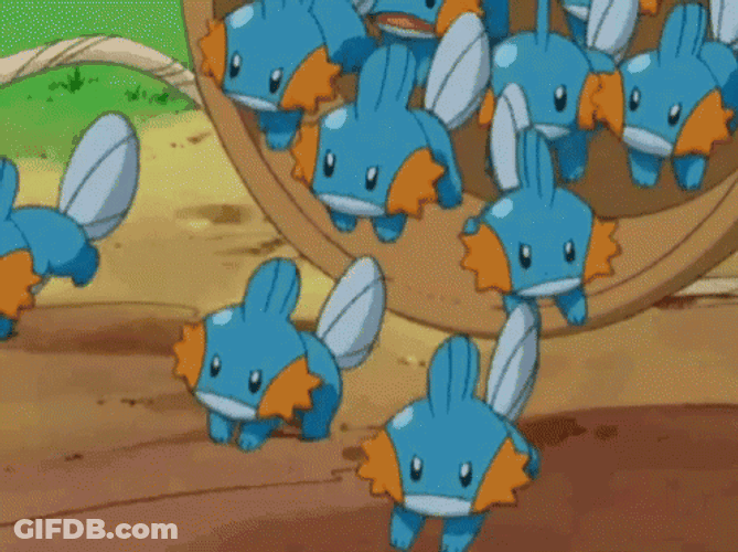 So Many Mudkip GIF