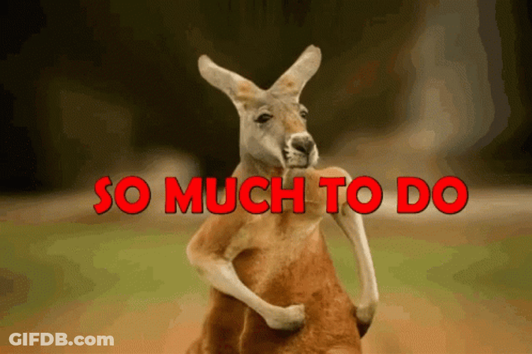 So Much To Do GIF