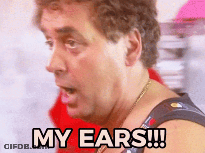 So Noise My Ears GIF