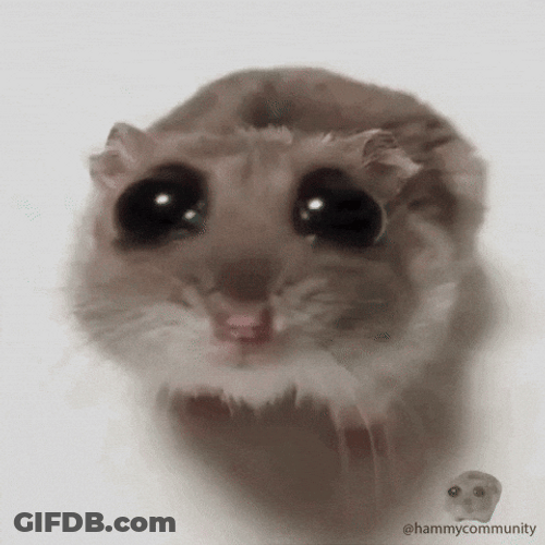 So Pity Sad Hamster GIF