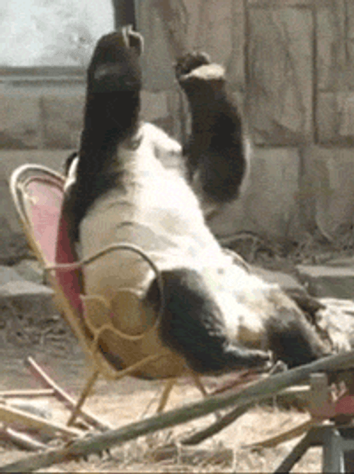 So Sad Panda GIF
