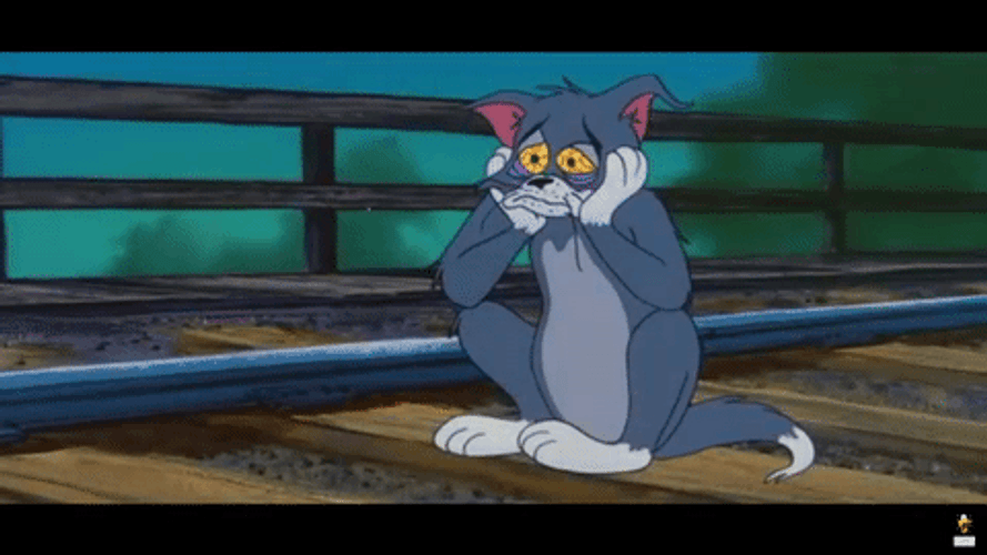 So Sad Tom And Jerry GIF