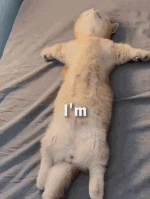 So Tired Cute GIF