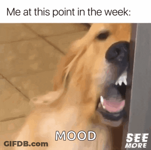 So Tired Tired GIF