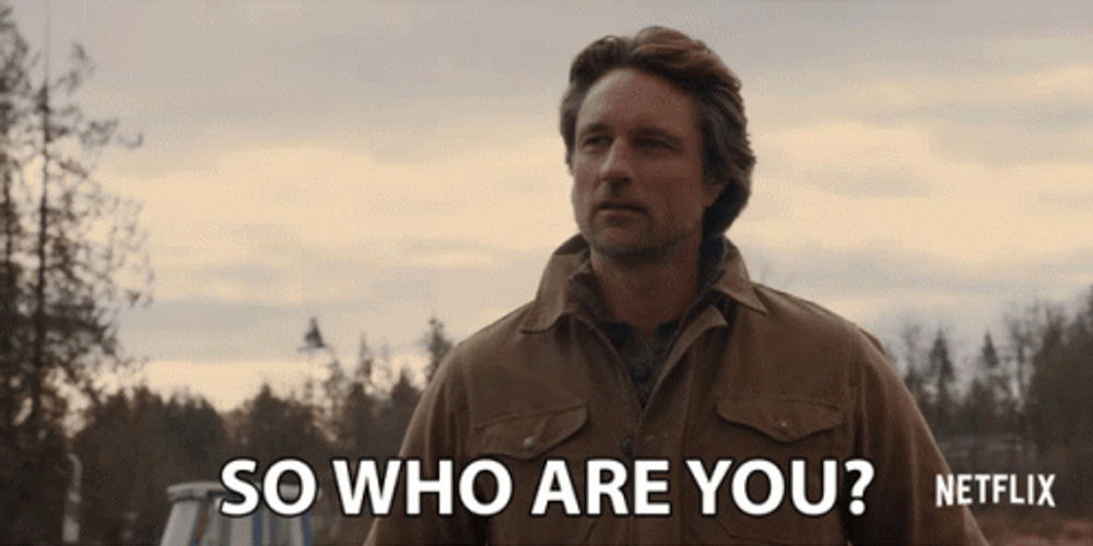 So Who Are You Netflix GIF