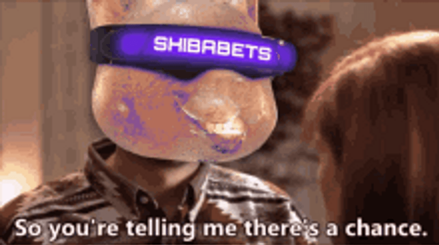So Youre Saying Theres A Chance Shibabets GIF