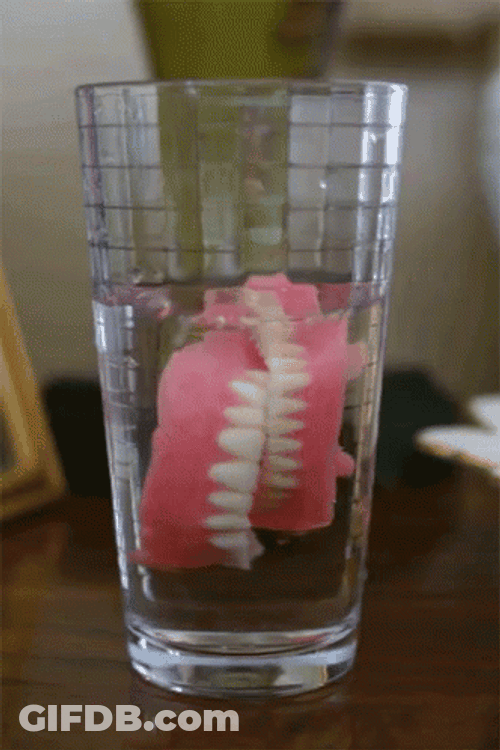 Soaked Dentures No Teeth GIF