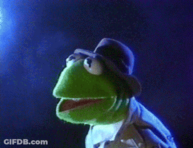 Soaking Wet Puppet Kermit The Frog GIF