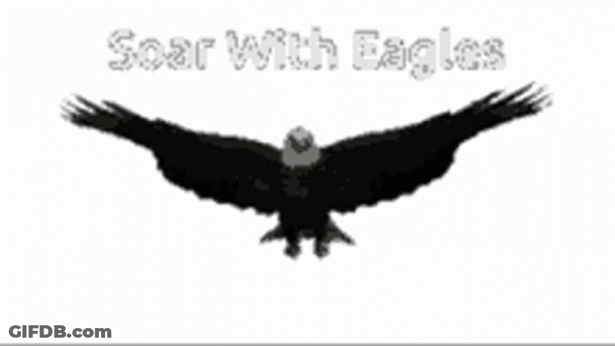 Soar With Eagles Flying GIF