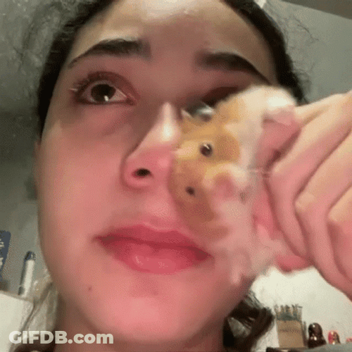 Sobbing Girl With A Hamster GIF