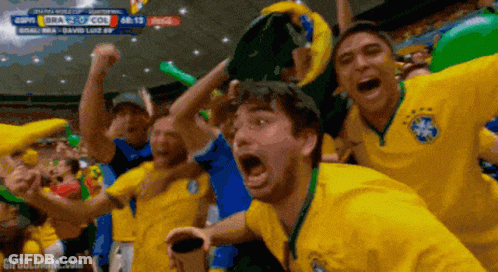 Soccer Fans Celebrating Goal Coca Cola GIF