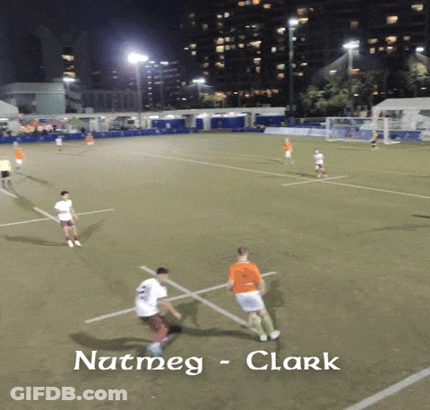 Soccer Field Natmeg Clark GIF
