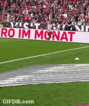 Soccer Field With Banner Saying Ro Im Monat GIF