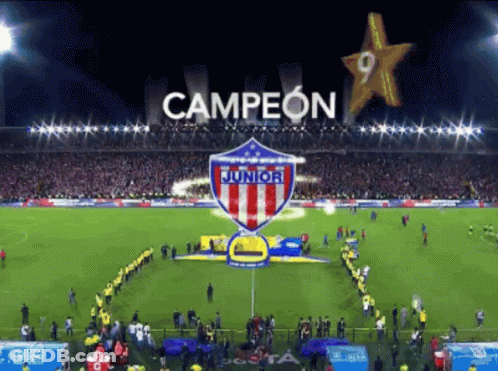 Soccer Field With Campeon Banner GIF