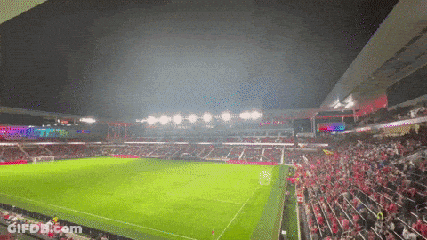 Soccer Field With Crowd In Stands GIF