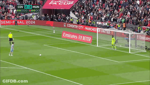 Soccer Field With Emirates Fly Better Ads GIF