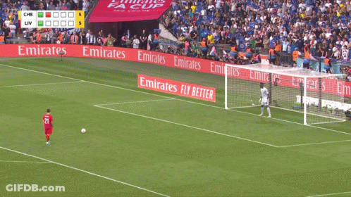 Soccer Field With Emirates Fly Better Ads GIF