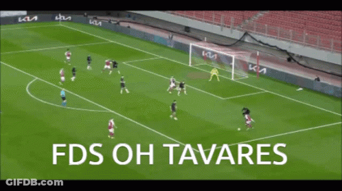 Soccer Field With FDS Oh Tavares GIF