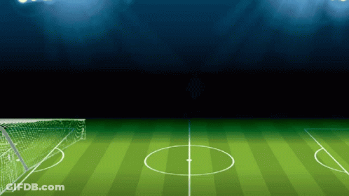Soccer Field With Goal And Center Circle GIF