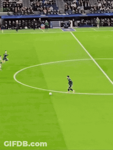 Soccer Field With Heineken Banner GIF