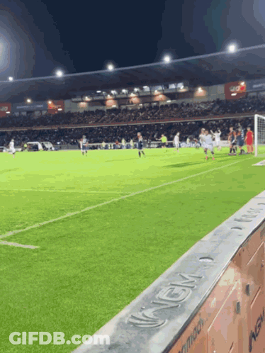 Soccer Field With IGN On Side GIF