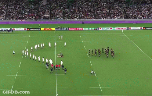 Soccer Field With Mastercard DHL Heineken Ads GIF