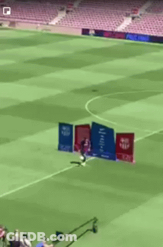 Soccer Field With Signs GIF