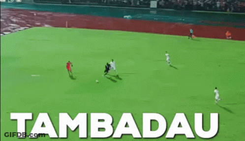 Soccer Field With Tambadau GIF