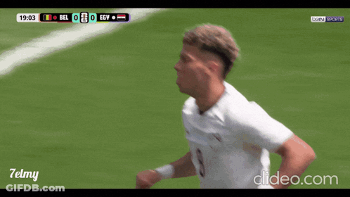 Soccer Game Between Belgium And Egypt GIF