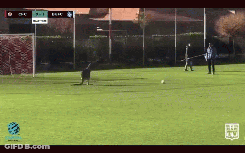 Soccer Game Between CFC And BUFC In Half Time GIF