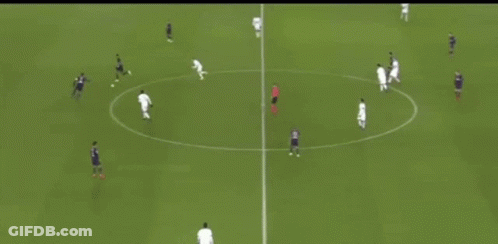 Soccer Game Between Ginja Turtle And Foul Or Fanny Ginji GIF