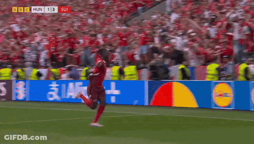 Soccer Game Between Hungary And SUI GIF