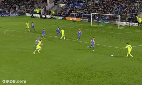 Soccer Game Crowd Oyte Sign GIF